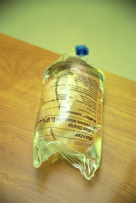 fake salin bag